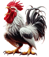 gcs SPORTS WS168 1753896997608